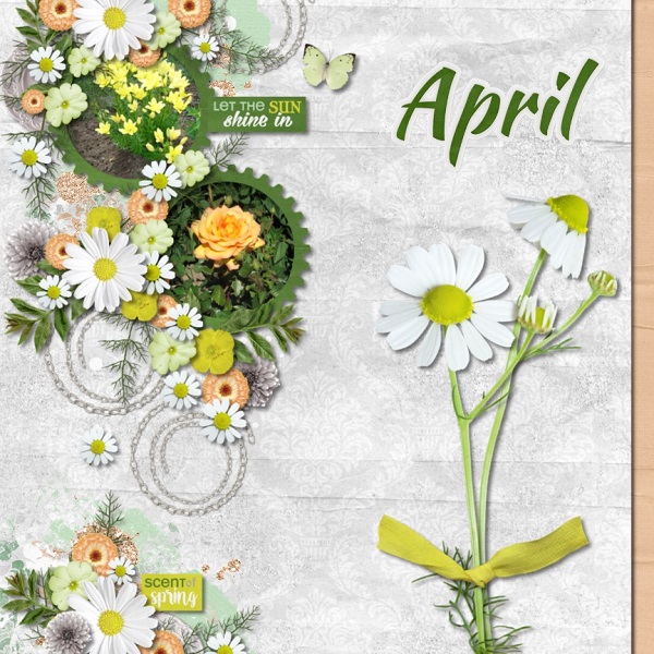 Spring
