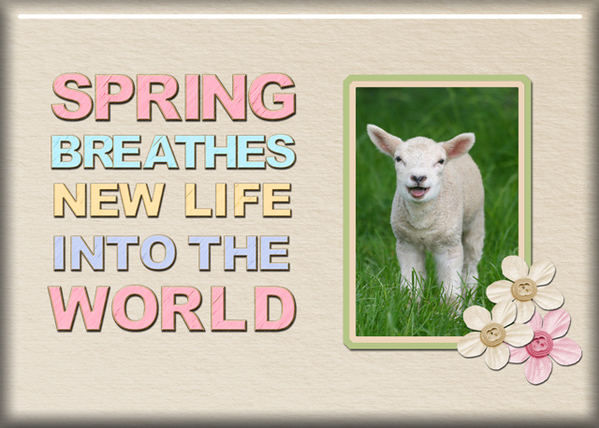 Spring