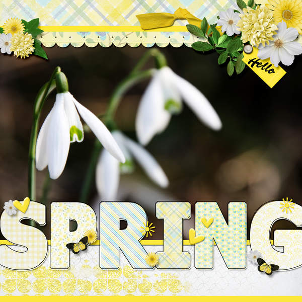 Spring