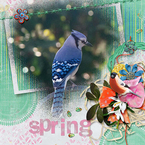 Spring