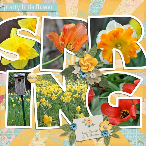Spring