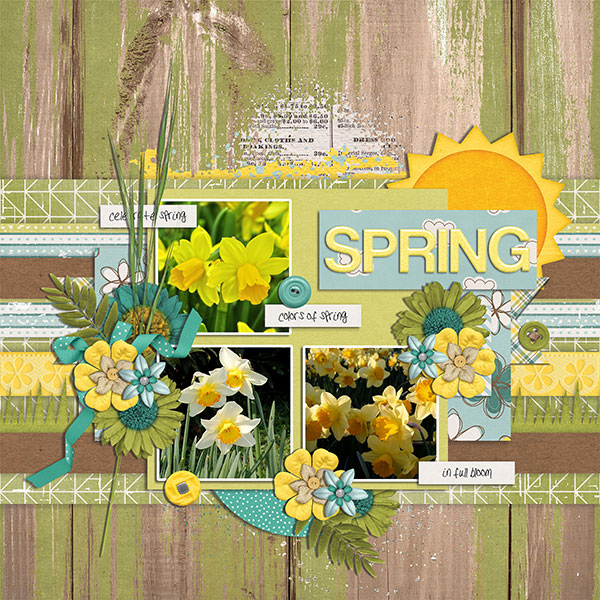 spring