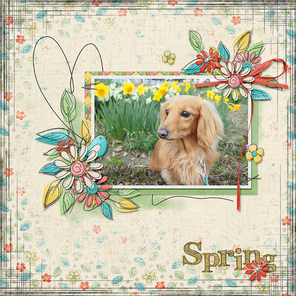 Spring
