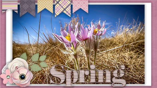 Spring