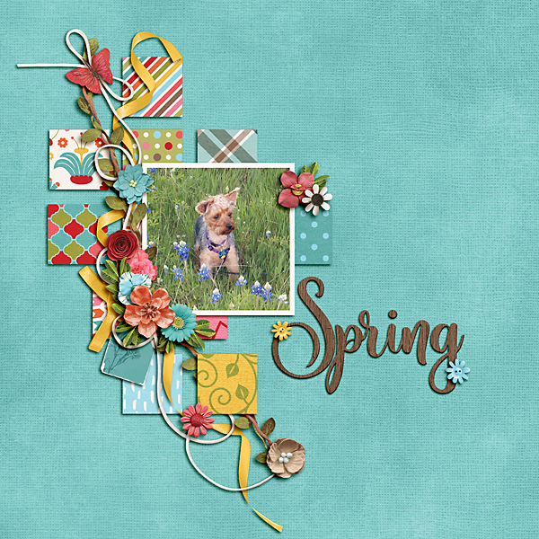 Spring