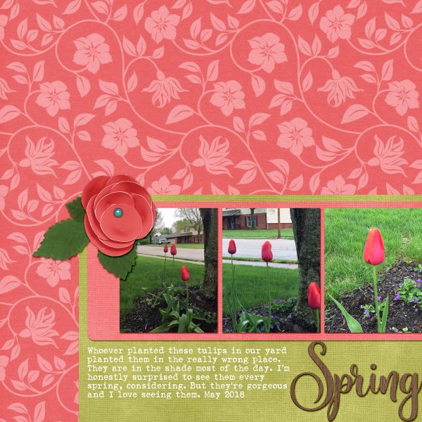 Spring
