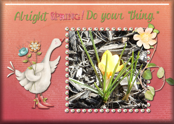 Spring!