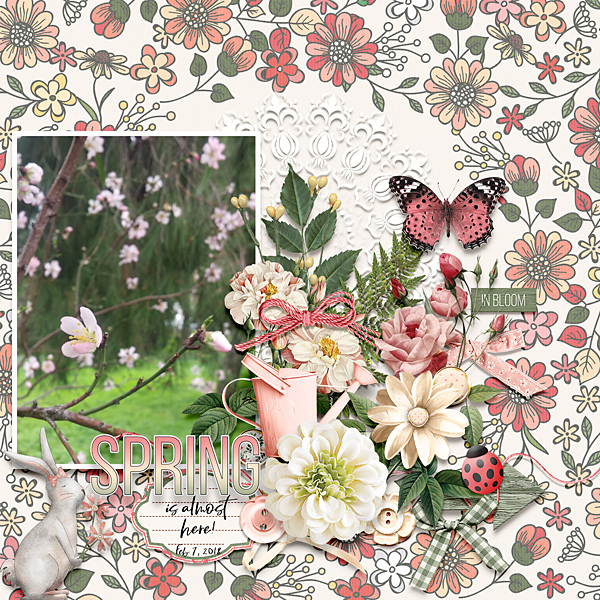 Spring