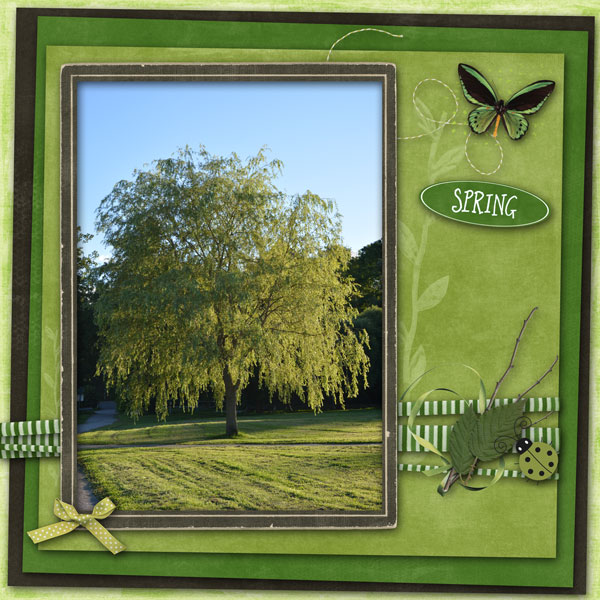 Spring