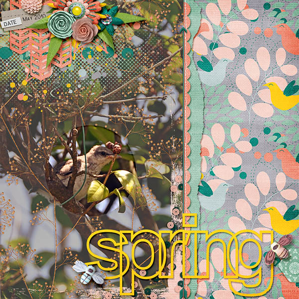 spring