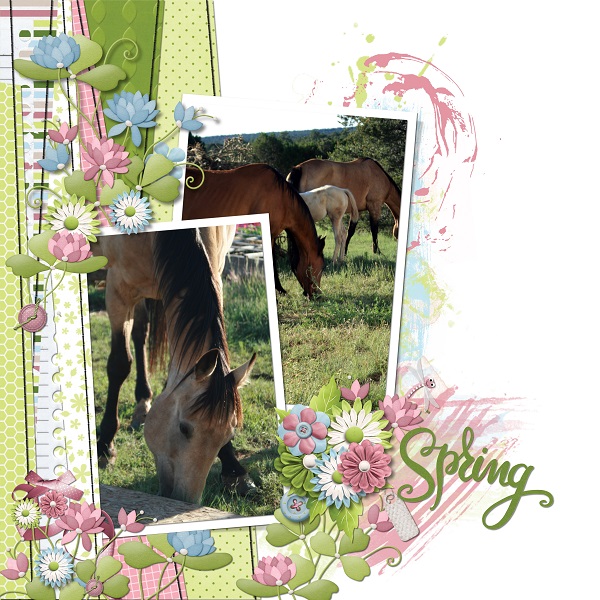 Spring