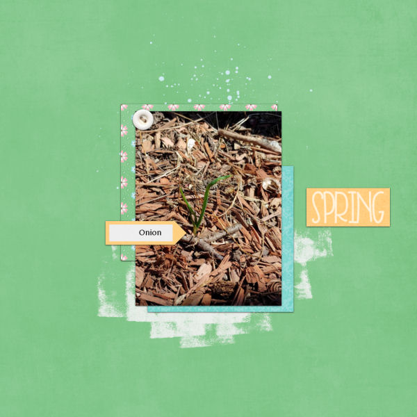 Spring