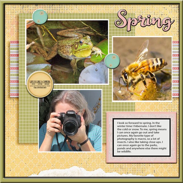 Spring