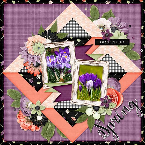 Spring