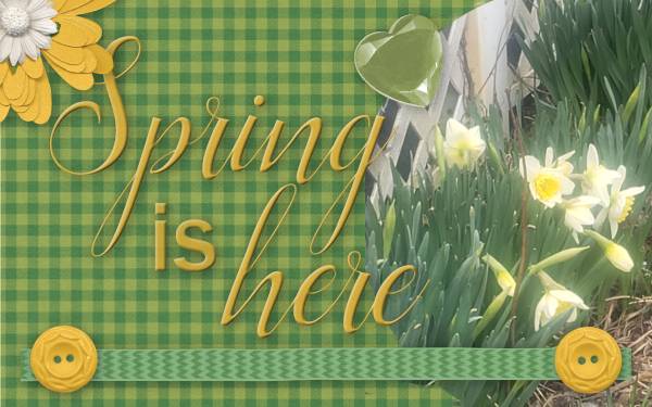 spring