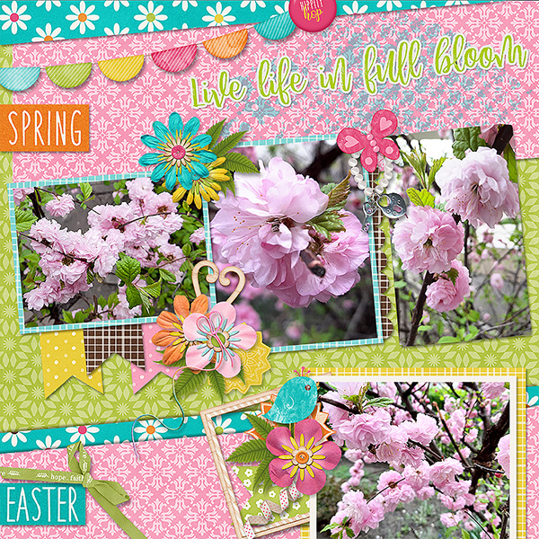 Spring