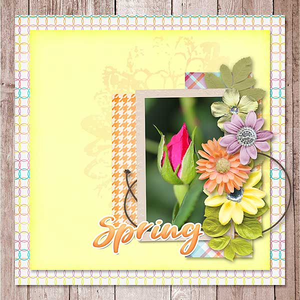 Spring