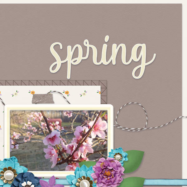Spring