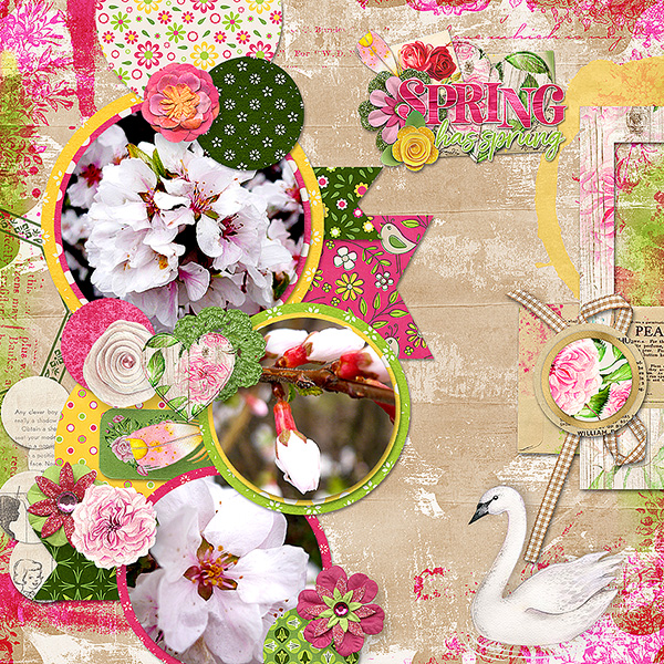 Spring