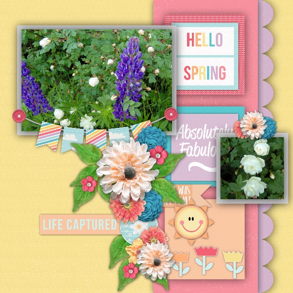 Spring