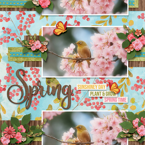 Spring