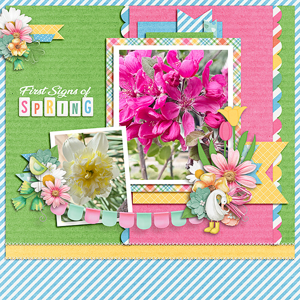 Spring