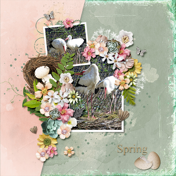 Spring!