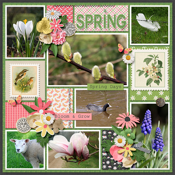 Spring