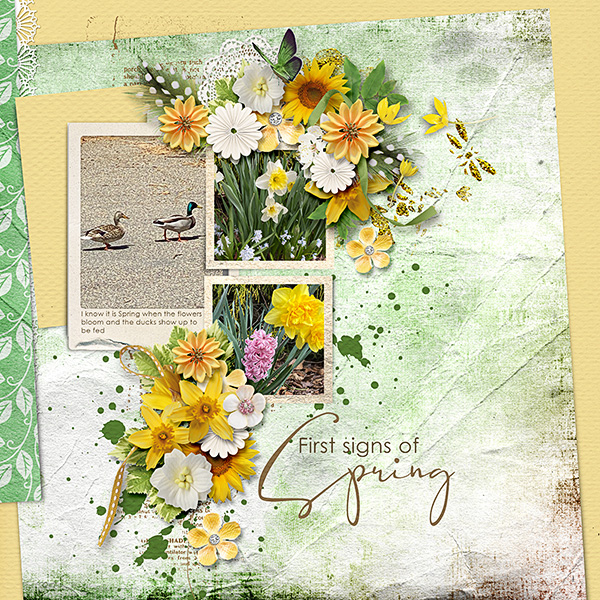 Spring