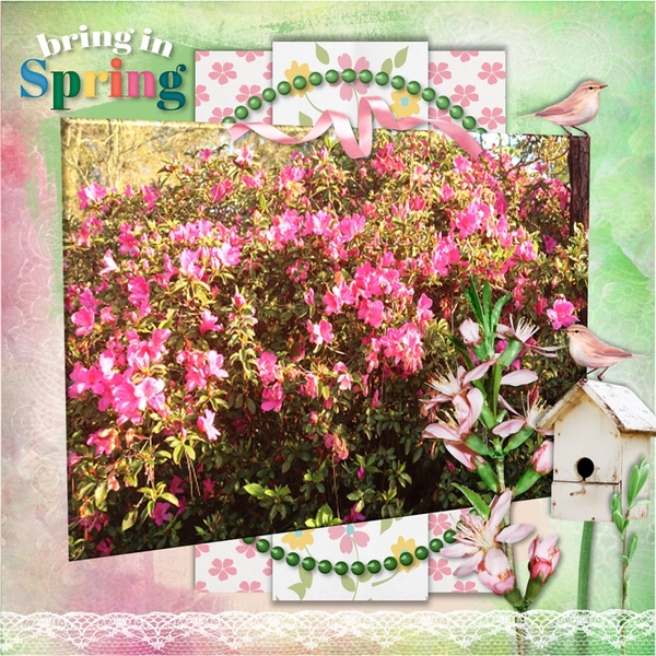 Spring!