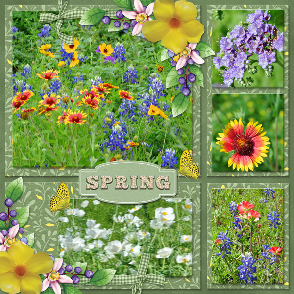 SPRING