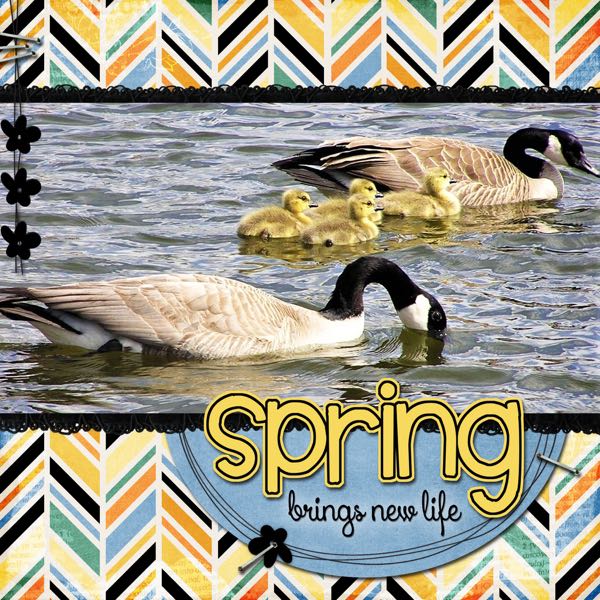 Spring