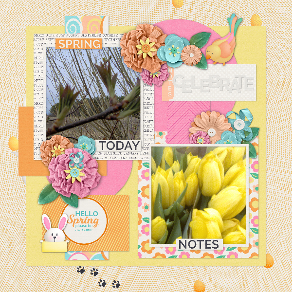 Spring