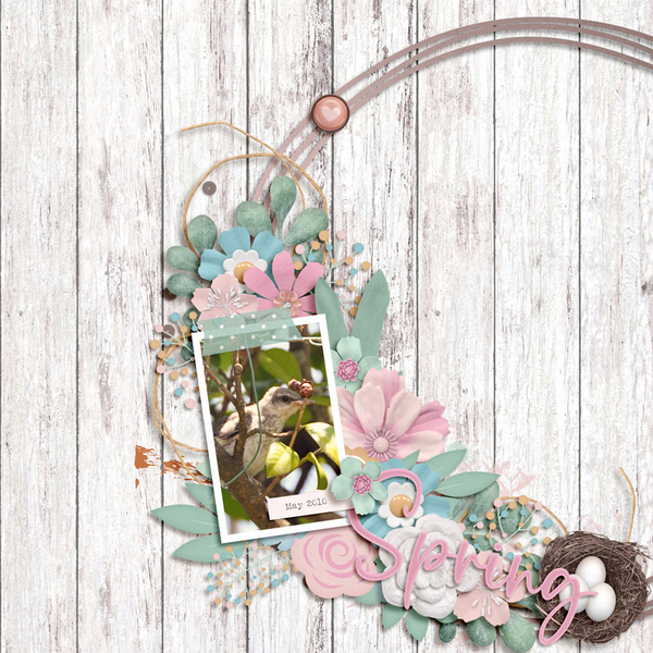 spring