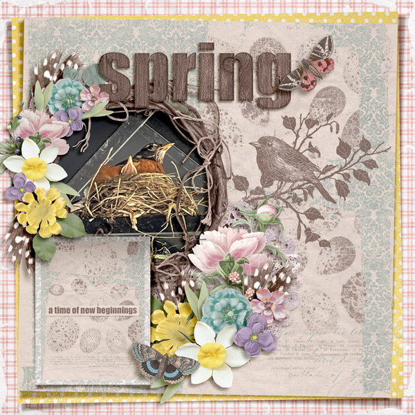 spring