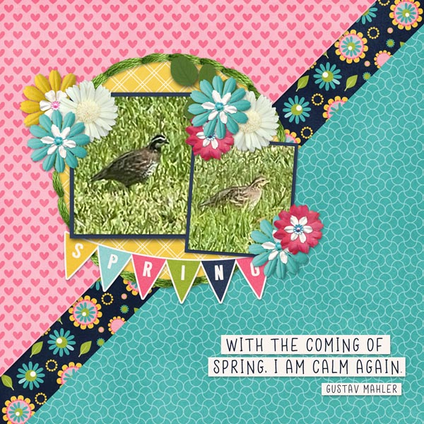 Spring