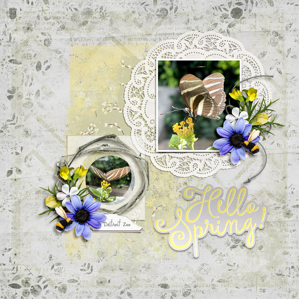 spring