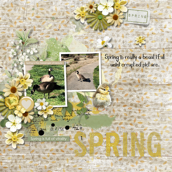 Spring
