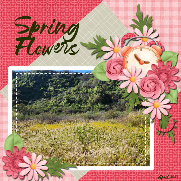Spring