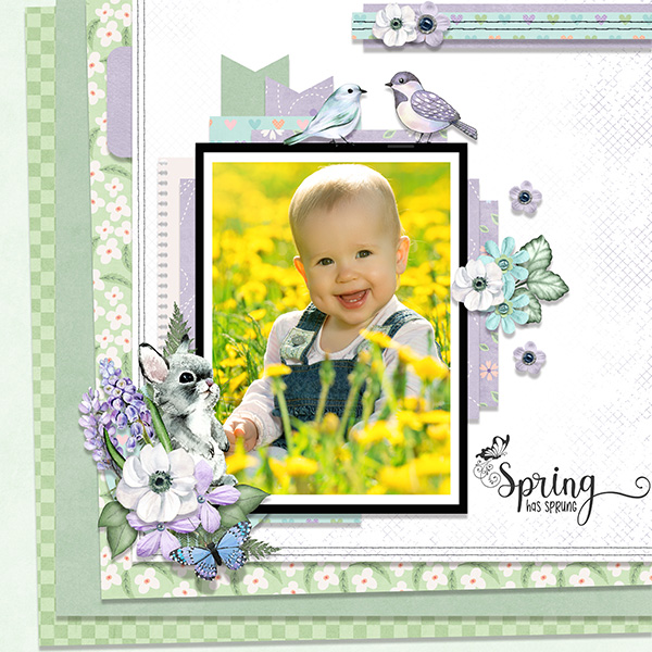Spring