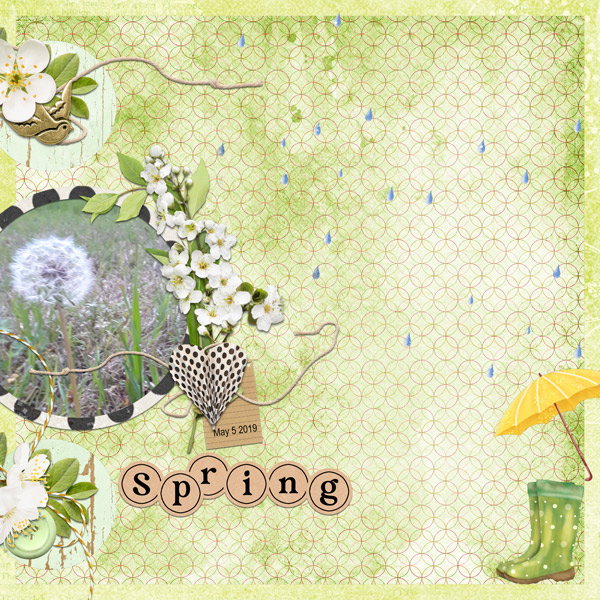 Spring