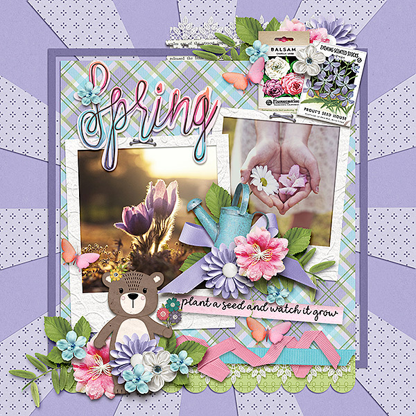 spring