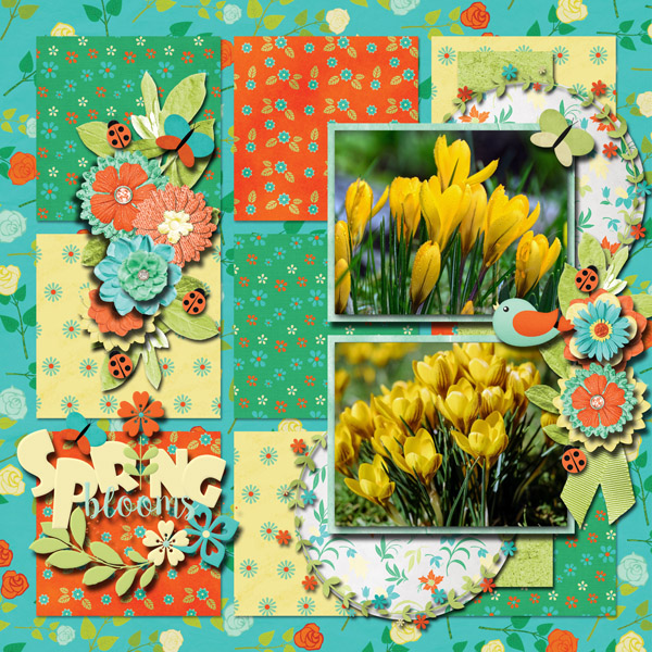 Spring