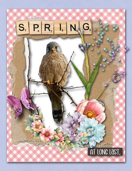 Spring