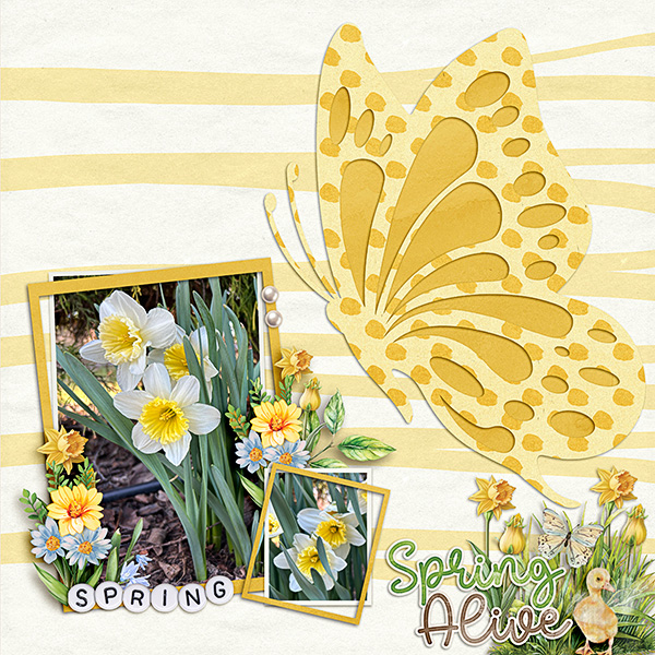 Spring