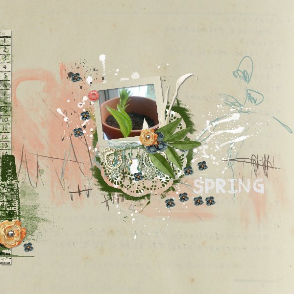 Spring