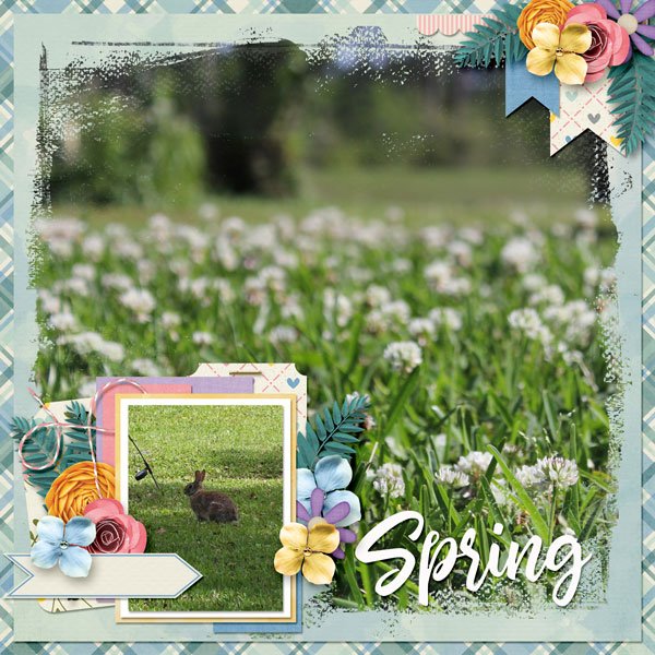 Spring!