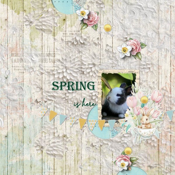 |Spring