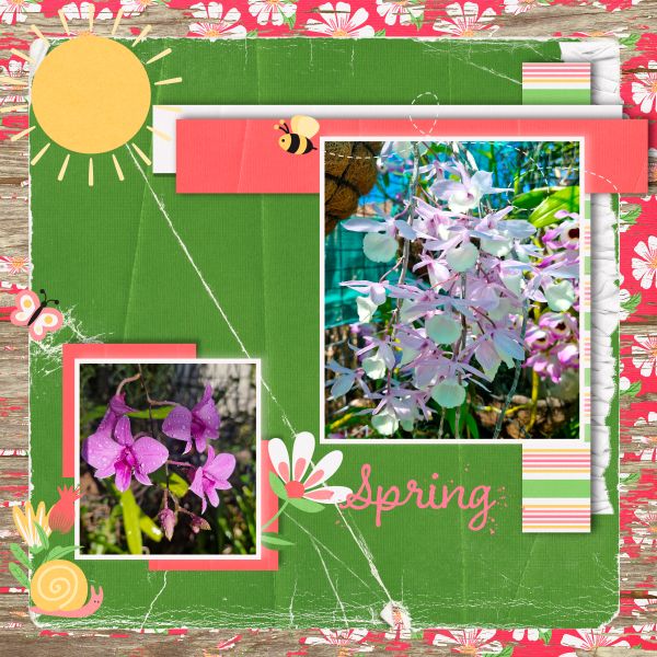 Spring