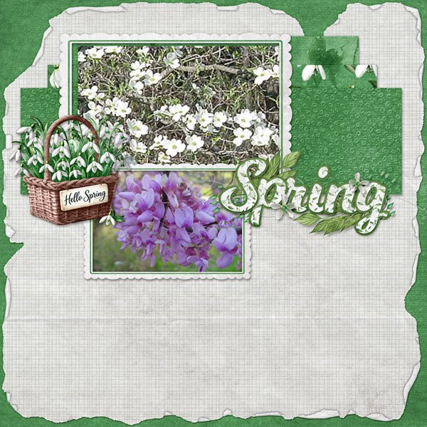 Spring
